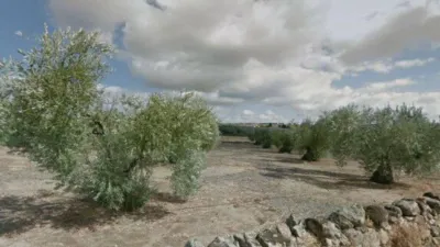 Rustic farm on Cercas de Cementerio Street, No. Sn photo 3